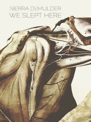 cover image of We Slept Here
